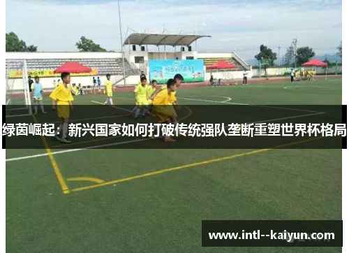 绿茵崛起：新兴国家如何打破传统强队垄断重塑世界杯格局