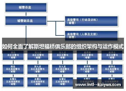 如何全面了解斯坦福桥俱乐部的组织架构与运作模式