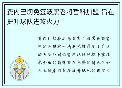 费内巴切免签波黑老将哲科加盟 旨在提升球队进攻火力