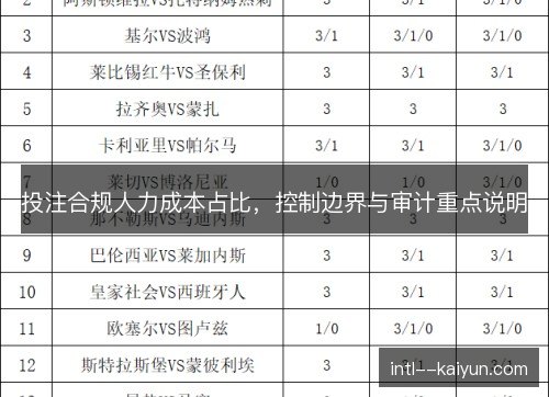 投注合规人力成本占比，控制边界与审计重点说明