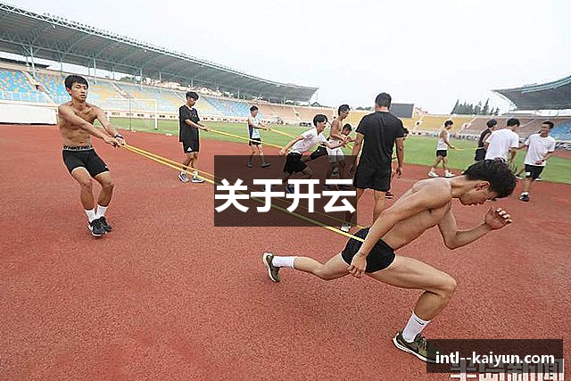 关于开云